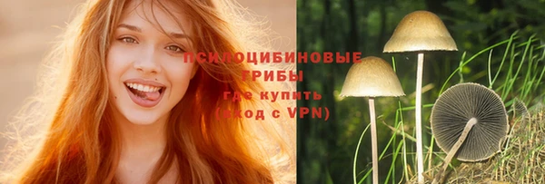 спайс Надым