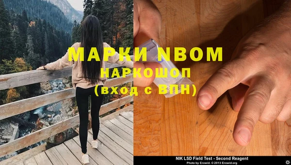 ПСИЛОЦИБИНОВЫЕ ГРИБЫ Болхов