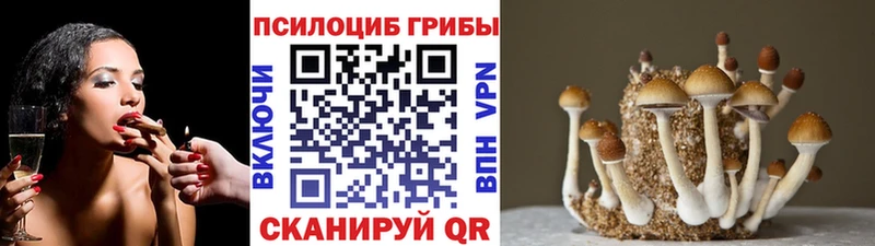 Псилоцибиновые грибы прущие грибы  закладки  Лабинск 