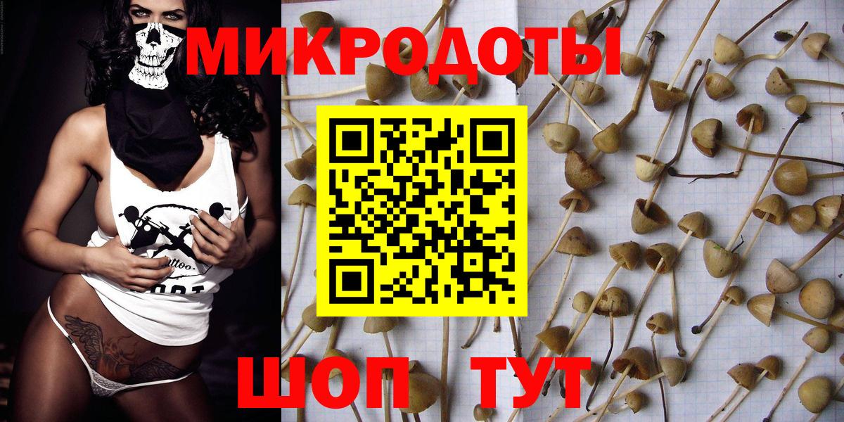 Галлюциногенные грибы Magic Shrooms Лабинск